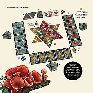 Stalo žaidimas - Micelijus